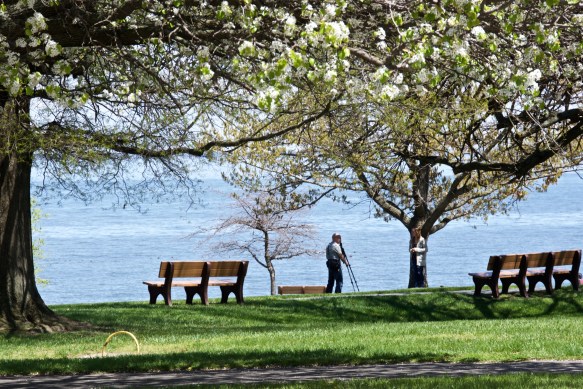 Lin and Michael's Photos