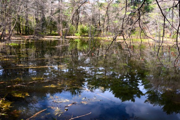 Lin and Michael's Photos