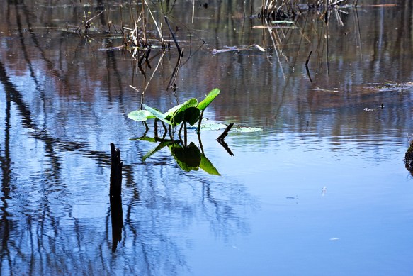 Lin and Michael's Photos