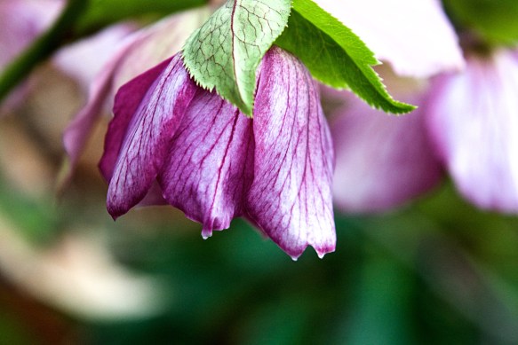 Lin and Michael's Photos