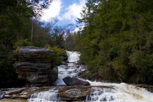 Lin and Michael's Photos