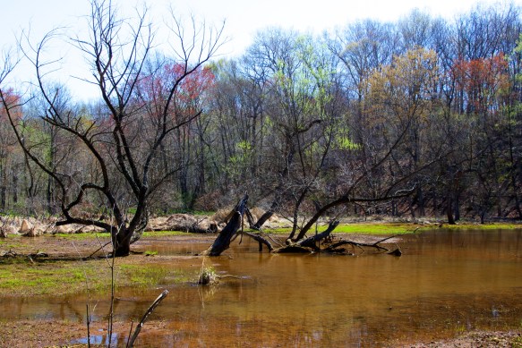 Lin and Michael's Photos