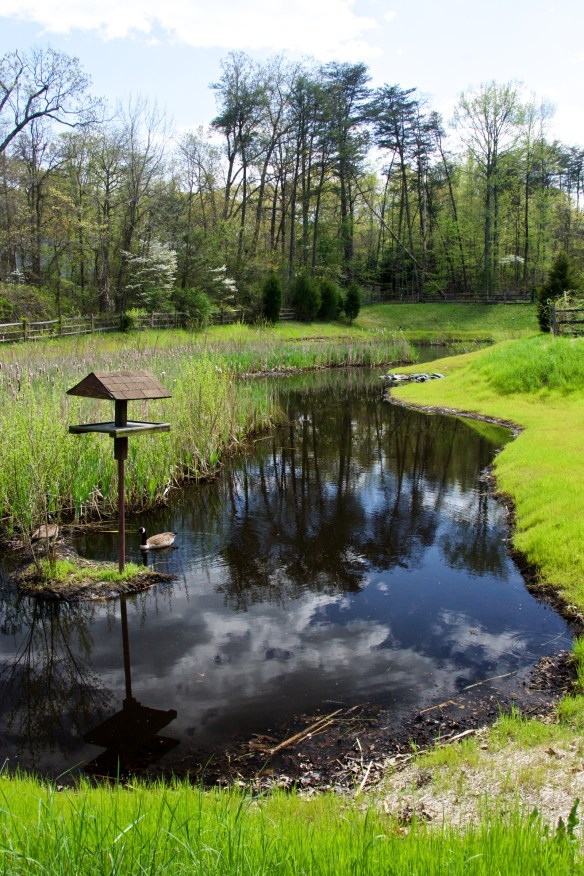 Lin and Michael's Photos