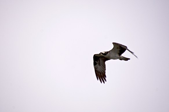 Lin and Michael's Photos