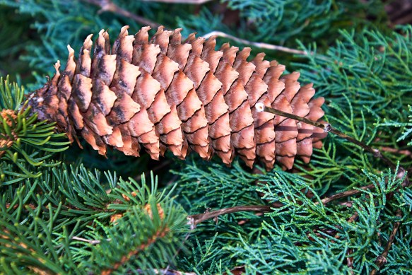 Lin and Michael's Photos