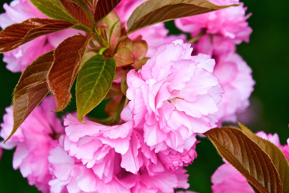 Lin and Michael's Photos