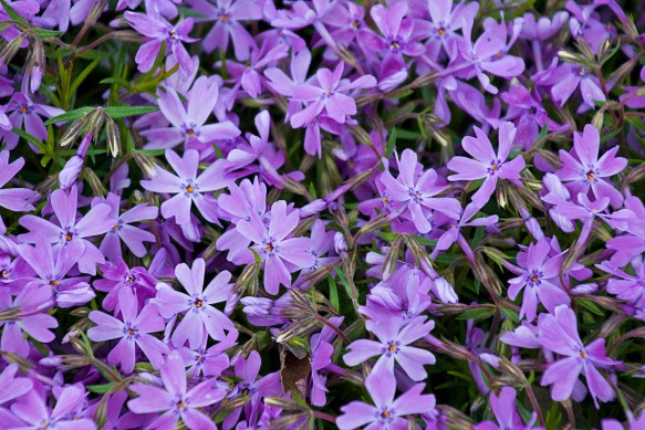 Lin and Michael's Photos