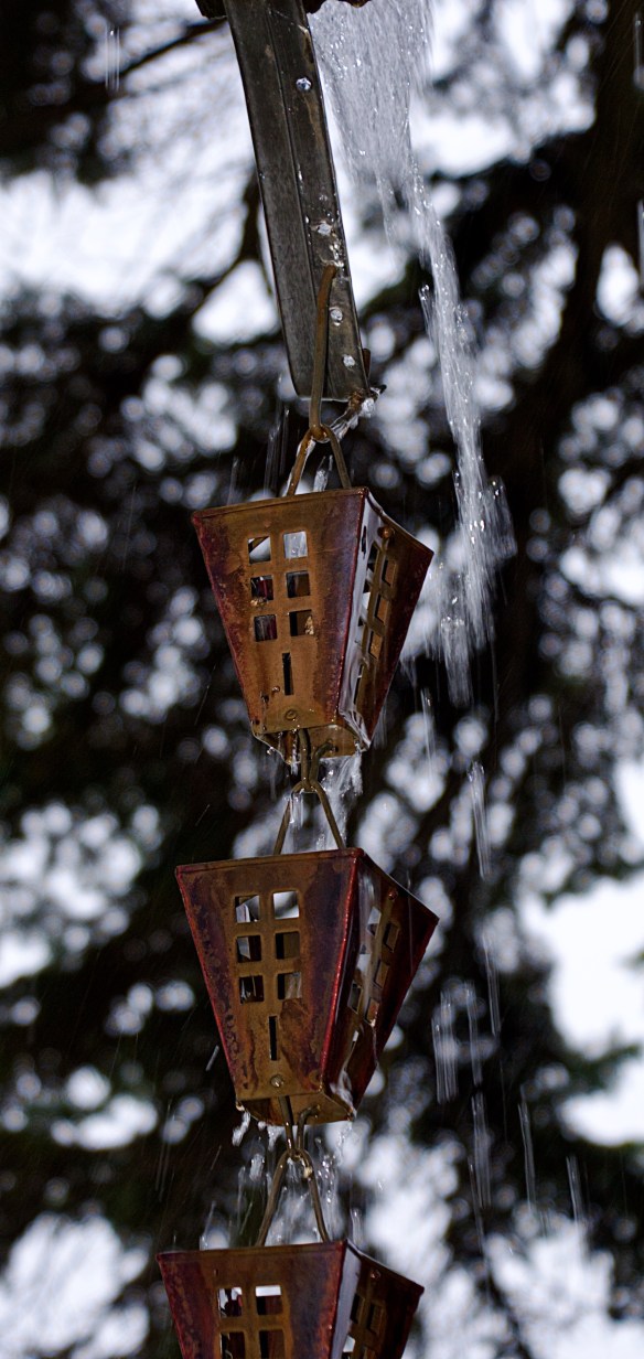 Lin and Michael's Photos