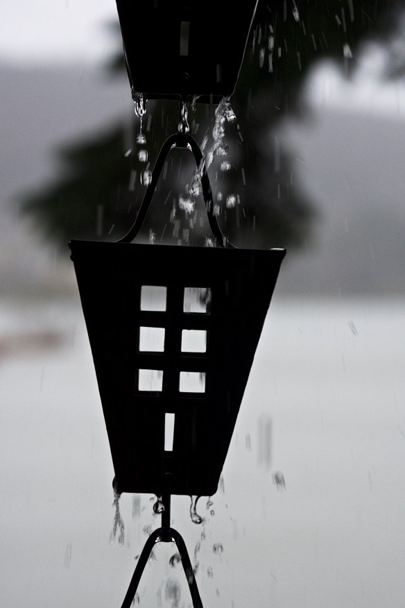 Lin and Michael's Photos