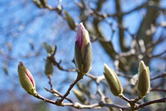 Lin and  Michael's Photos