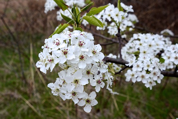 Lin and Michael's Photos