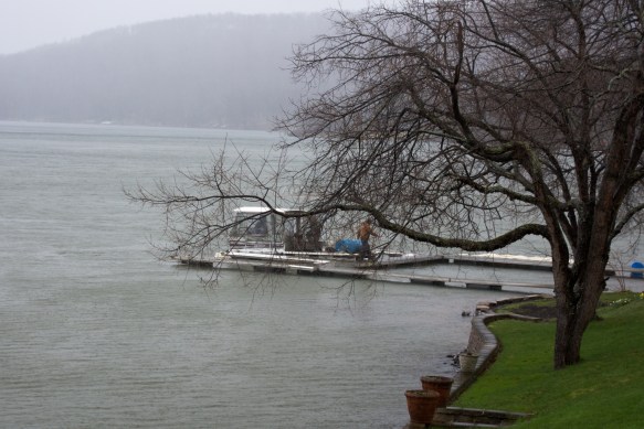 Lin and Michael's Photos