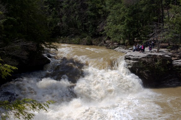 Lin and Michael's Photos