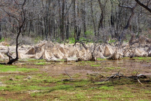 Lin and Michael's Photos