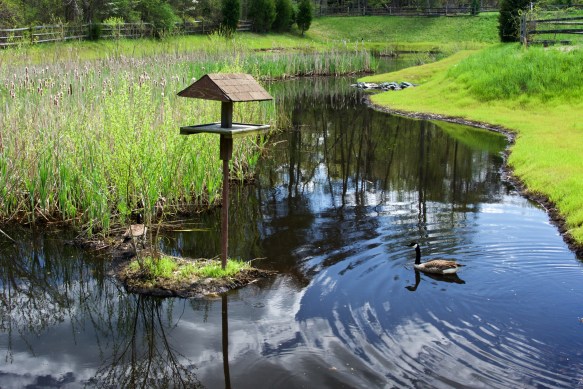 Lin and Michael's Photos