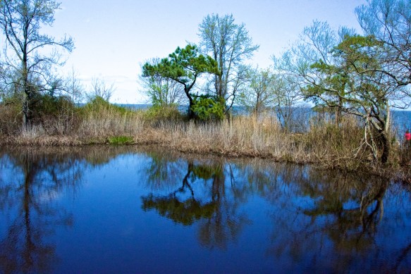 Lin and Michael's Photos