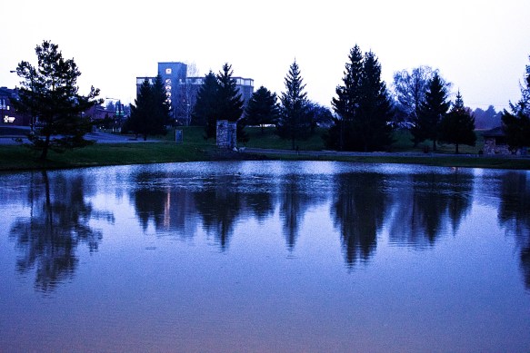 Lin and Michael's Photos