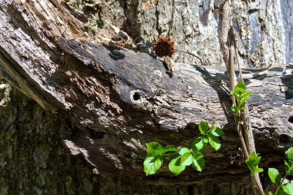 Lin and Michael's Photos