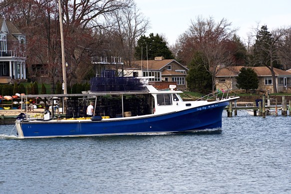 Lin and Michael's Photos