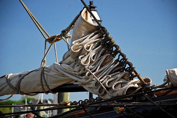 Lin and Michael's Photos