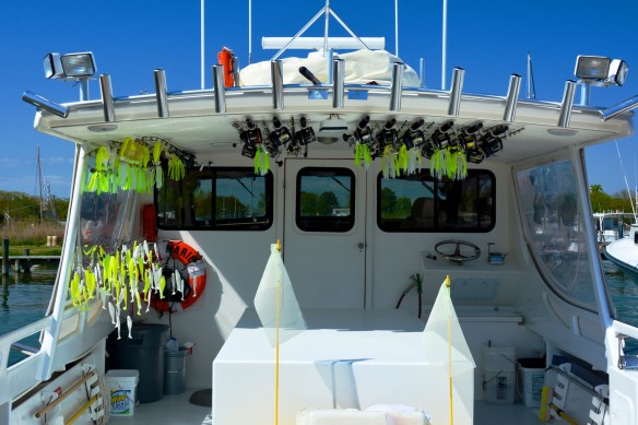 Lin and Michael's Photos