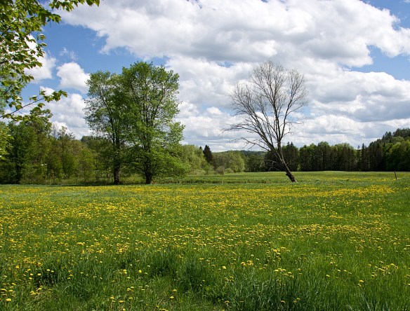 Lin and Michael's Photos