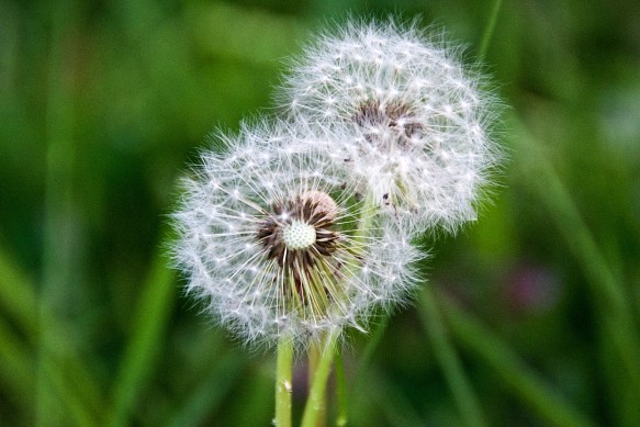 Lin and Michael's Photos