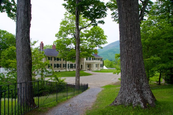 Lin and Michael's Photos