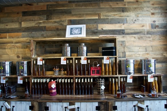 Lin and Michael's Photos