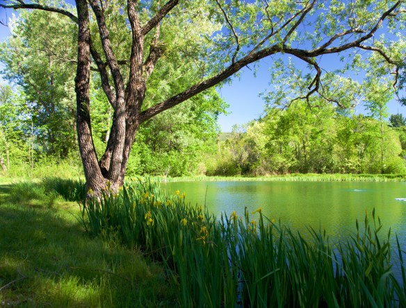 Lin and Michael's Photos