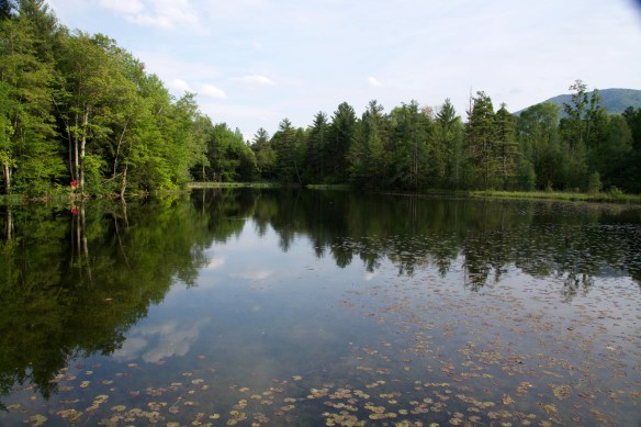 Lin and Michael's Photos