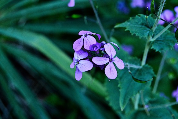 Lin and Michael's Photos