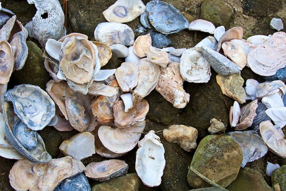 Lin and Michael's Photos