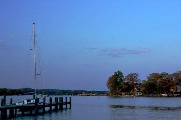 Lin and Michael's Photos