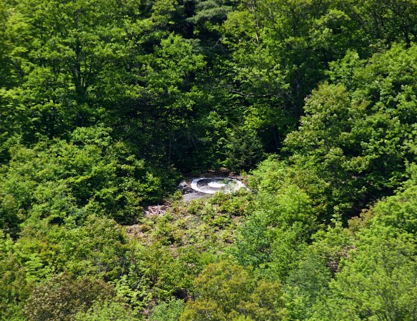 Lin and Michael's Photos