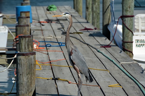 Lin and Michael's Photos