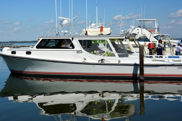 Lin and Michael's Photos