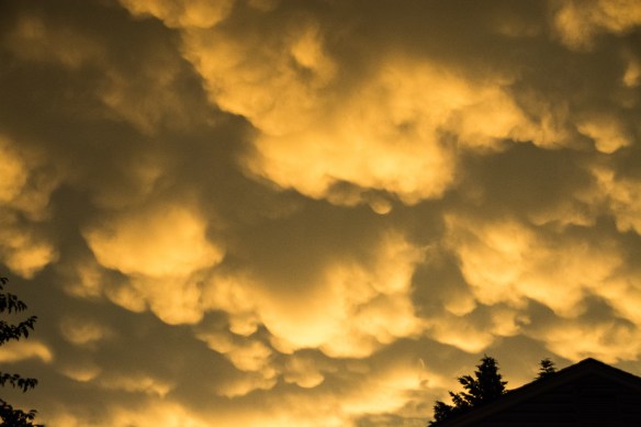 Lin and Michael's Photos