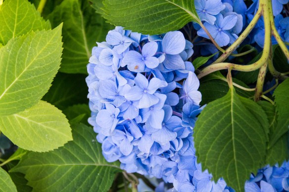 Lin and Michael's Photos