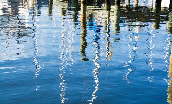 Lin and Michael's Photos