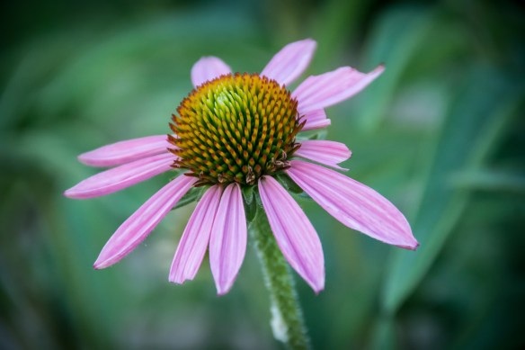 Lin and Michael's Photos