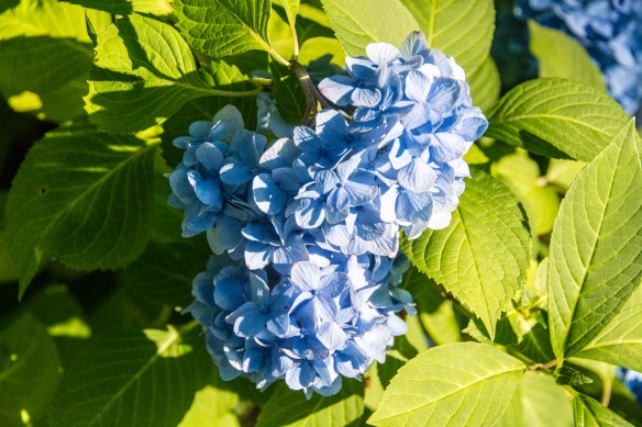 Lin and Michael's Photos