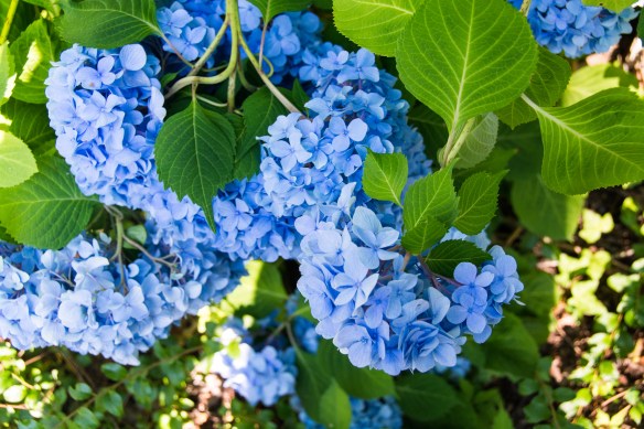 Lin and Michael's Photos