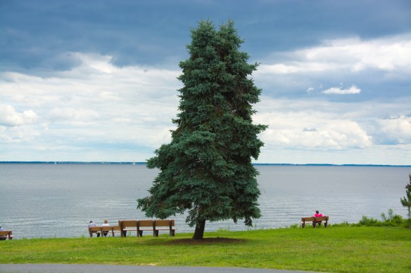 Lin and Michael's Phots