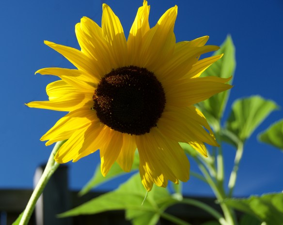 Lin and Michael's Photos