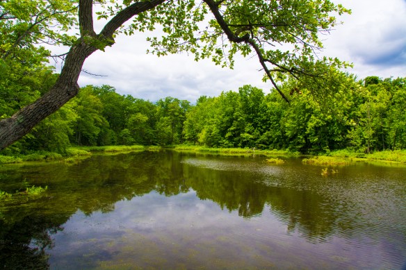 Lin and Michael's Photos