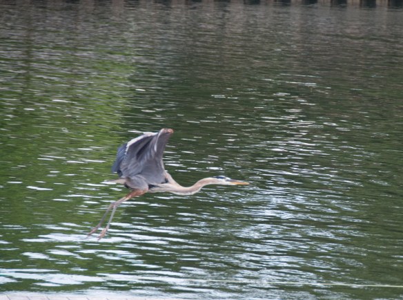 Lin and Michael's Photos