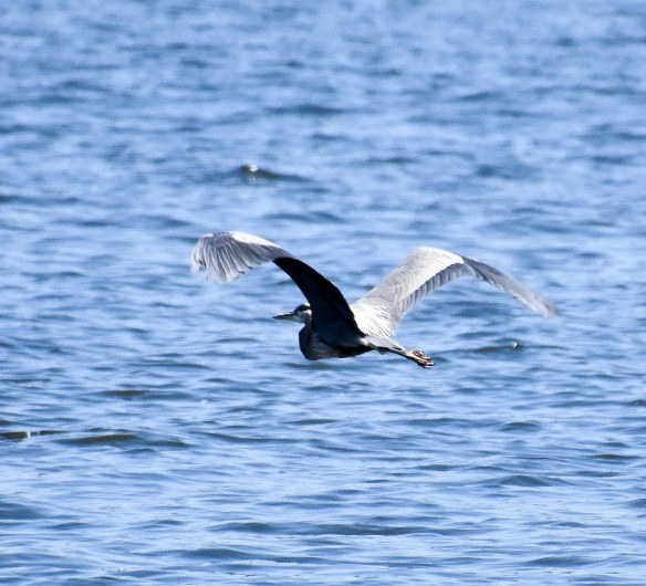 Lin and Michael's Photo's