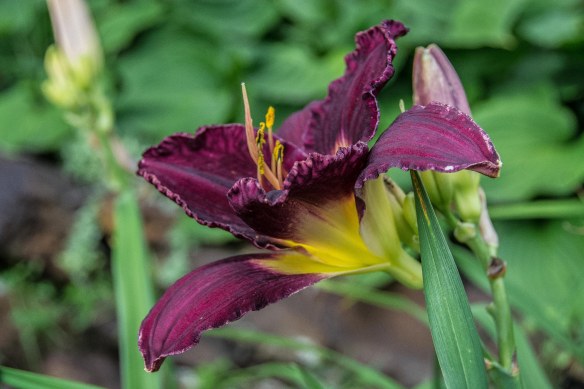 Lin and Michael's Photo