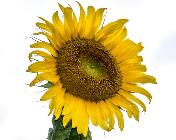 Lin and Michael's Photos